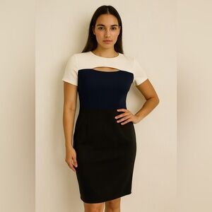 NWT Beige by eci Colorblock Bodycon Work or Cocktail Dress